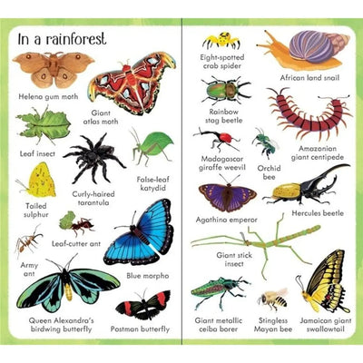 Usborne 199 bugs, book for children