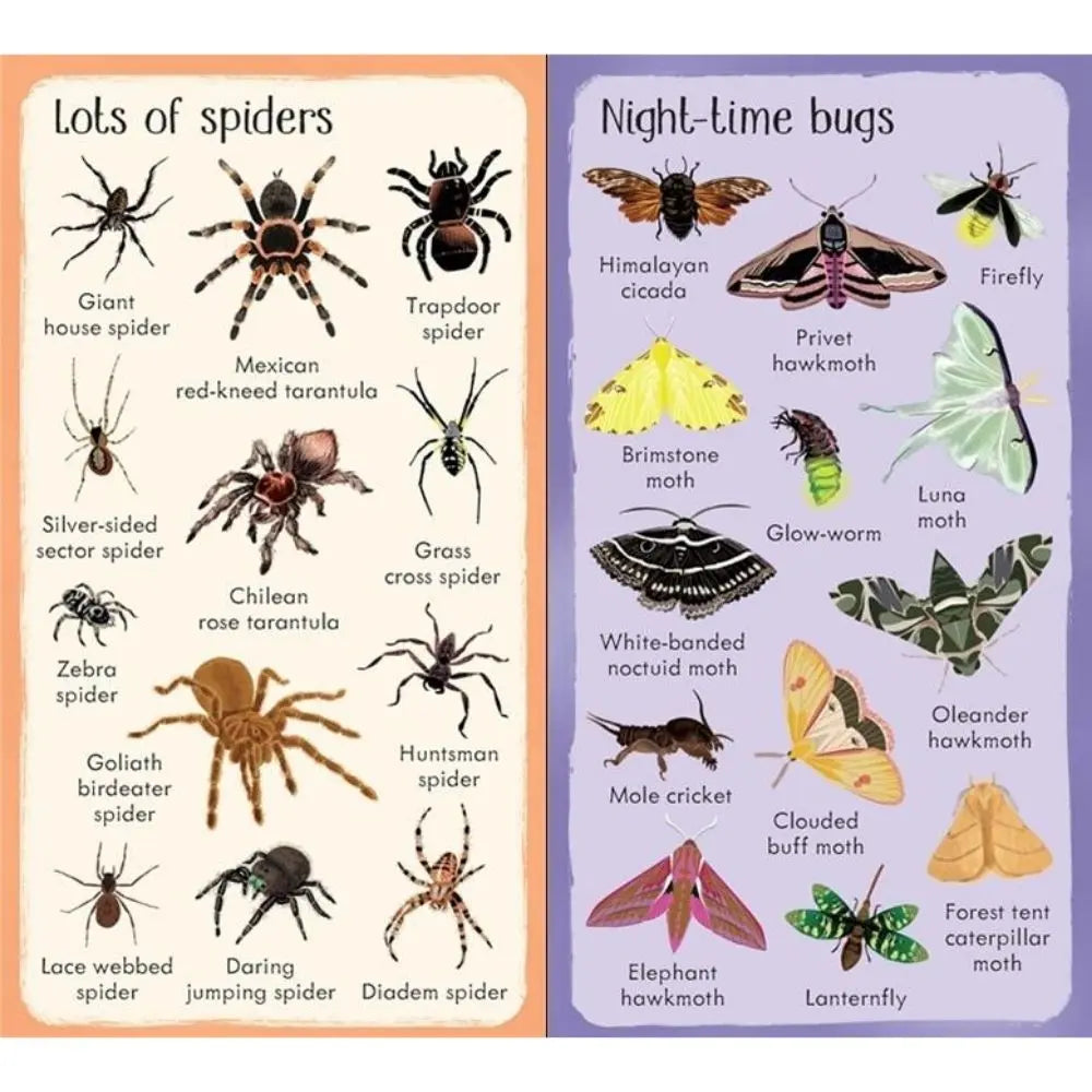 Usborne 199 bugs, book for children