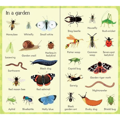 Usborne 199 bugs, book for children