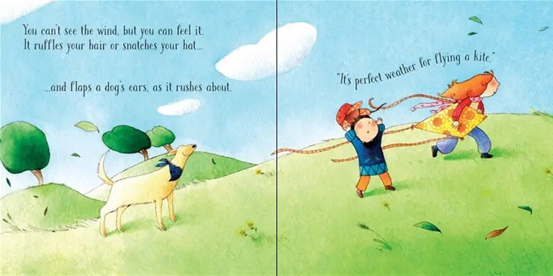 Children book about wind